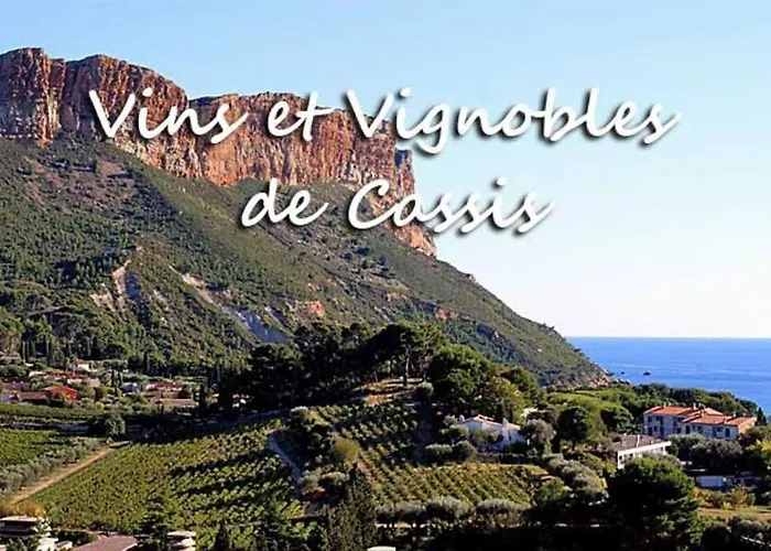 Charmant Studio Au Coeur De Cassis