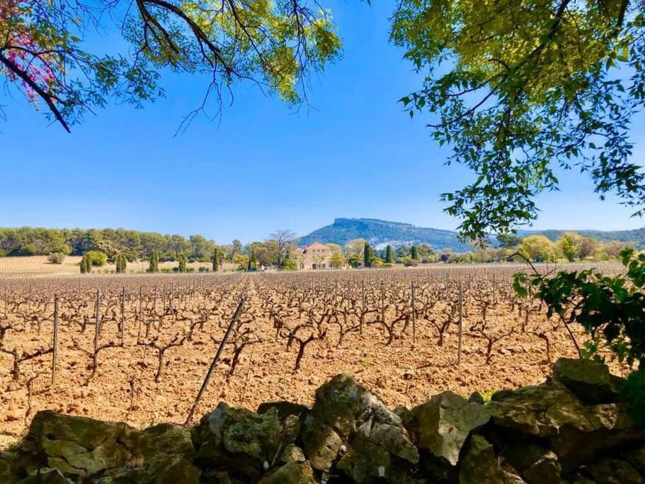 Au Coeur De * Cassis